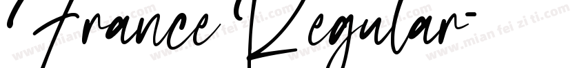 France Regular字体转换